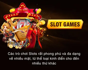 Các biểu tượng môn thể thao đa dạng, thể hiện sự phong phú
